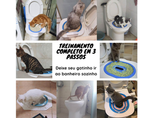 Kit Treinamento de Banheiro para Gatos